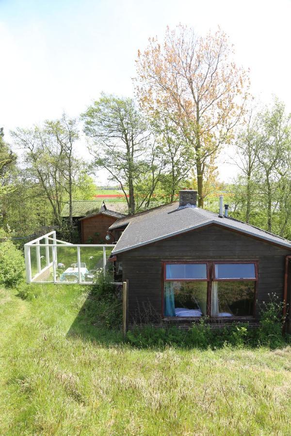 Huisje Vogelsand 't Horntje Esterno foto